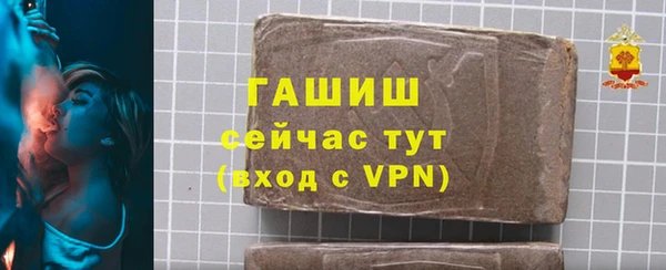 мдпв Елабуга