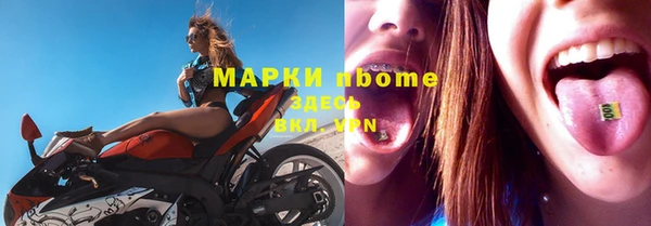 мдпв Елабуга