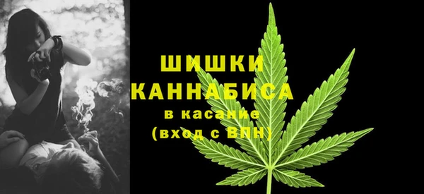 мдпв Елабуга