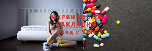 мдпв Елабуга