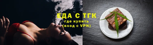 мдпв Елабуга