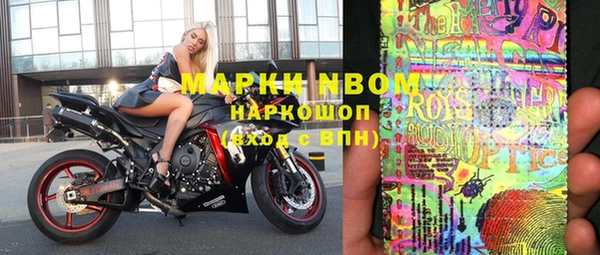 мдпв Елабуга