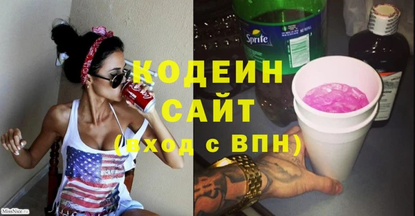 мдпв Елабуга