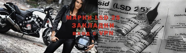 мдпв Елабуга