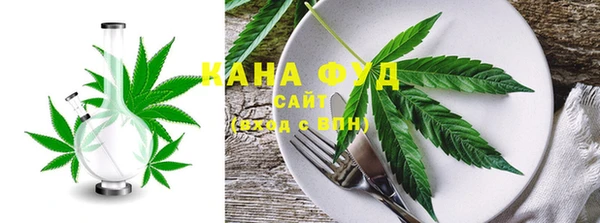 мдпв Елабуга