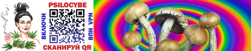 blacksprut онион  цена наркотик  Катайск  Псилоцибиновые грибы Psilocybine cubensis 