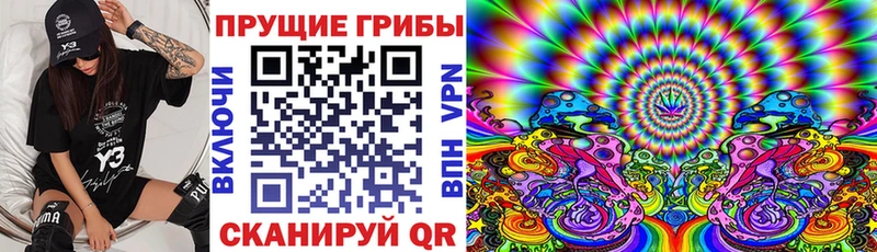 Галлюциногенные грибы Magic Shrooms Катайск